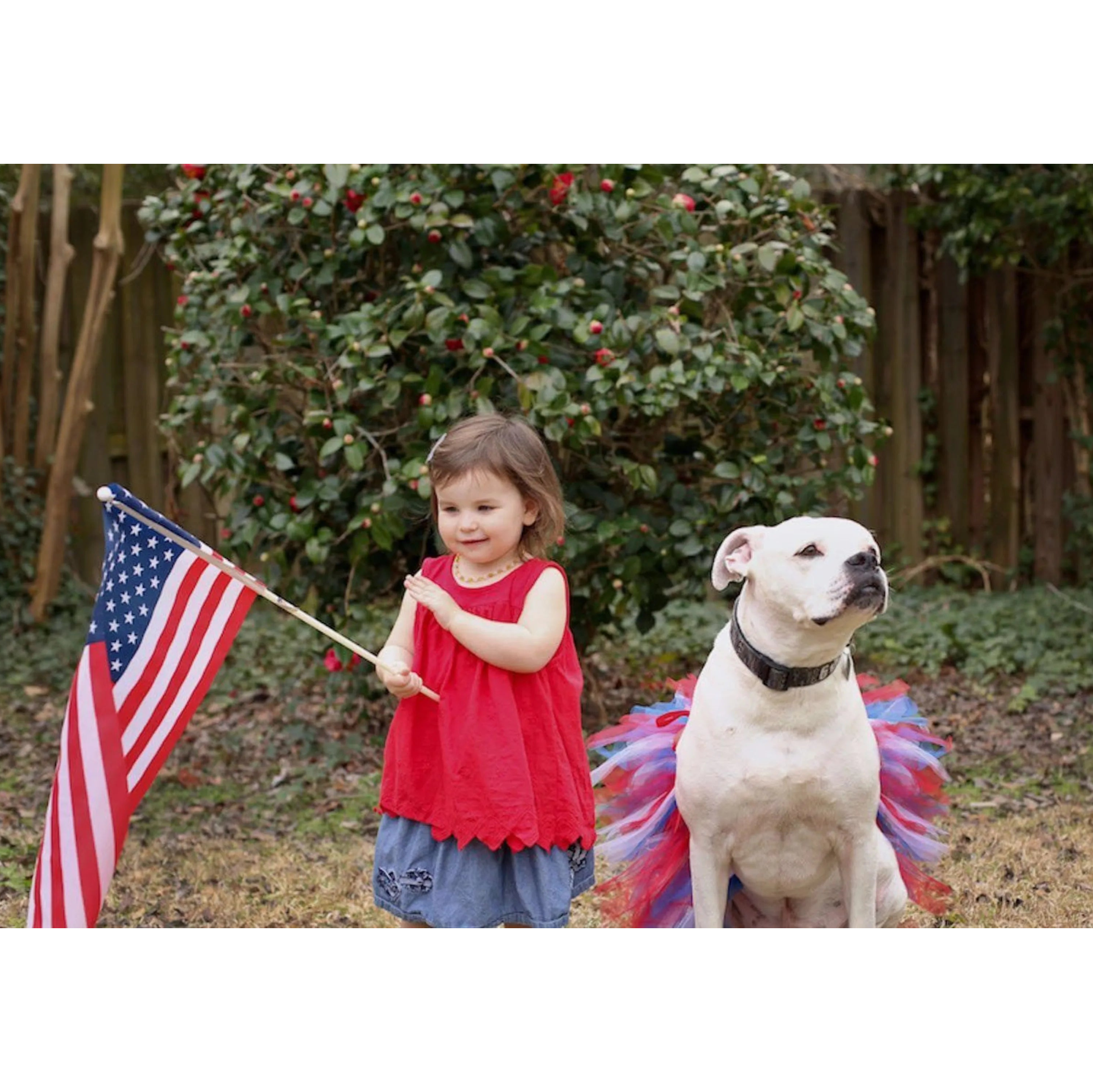 Red/White/Blue Pet Tutu Skirt