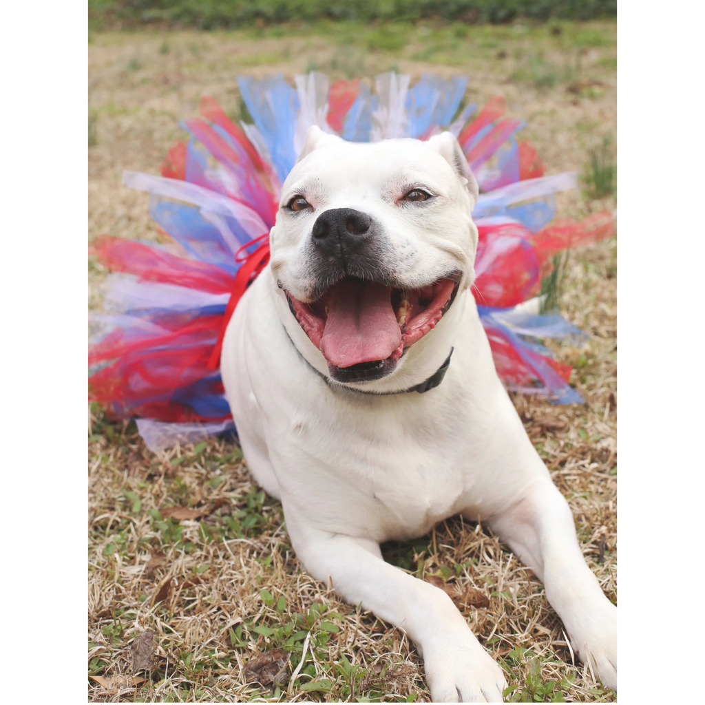 Red/White/Blue Pet Tutu Skirt