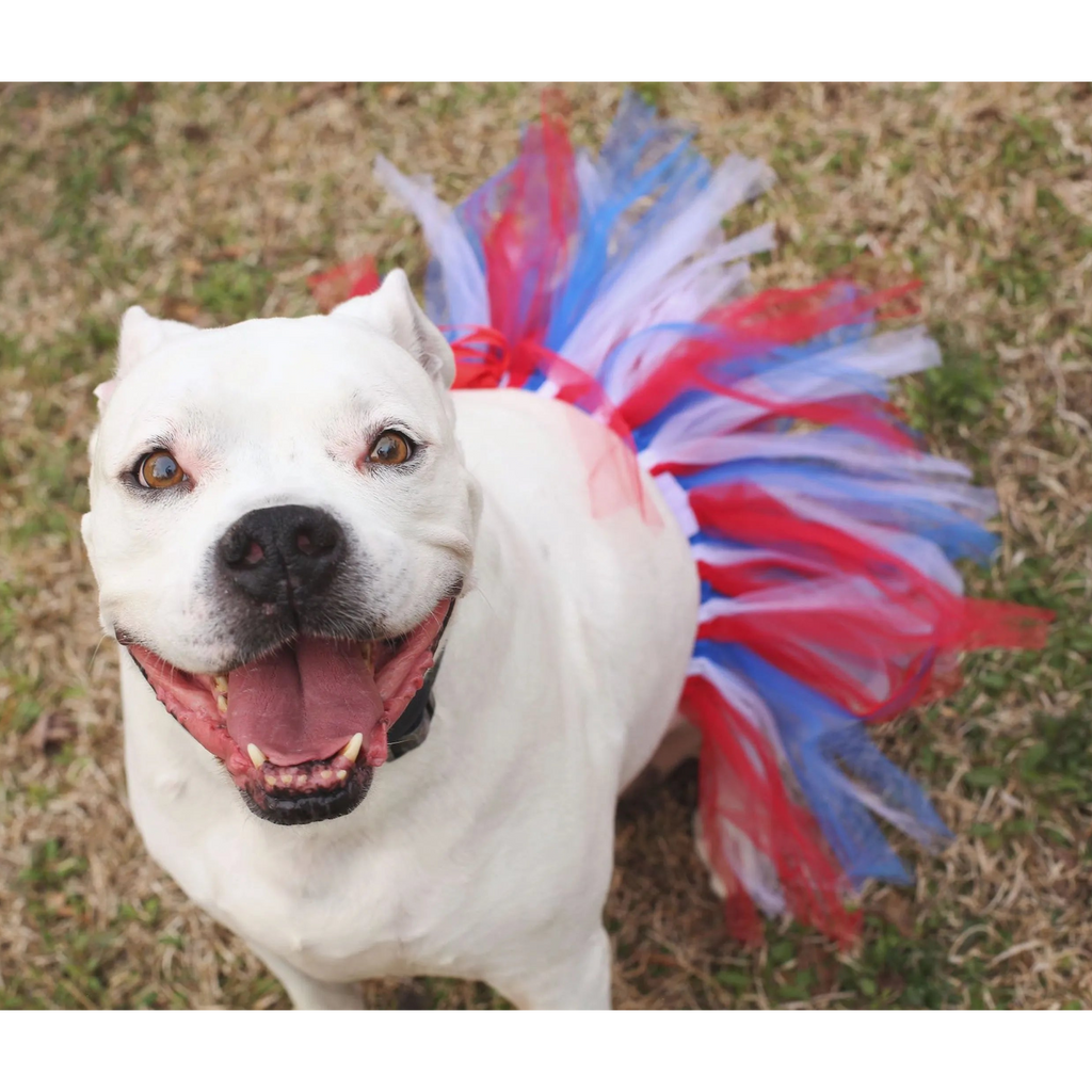 Red/White/Blue Pet Tutu Skirt
