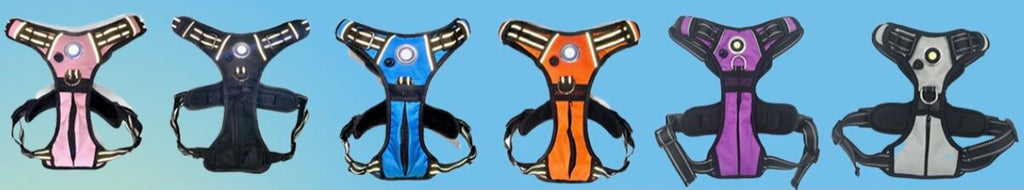 Pet Harness with Built In LED Light (6 Colors Available)