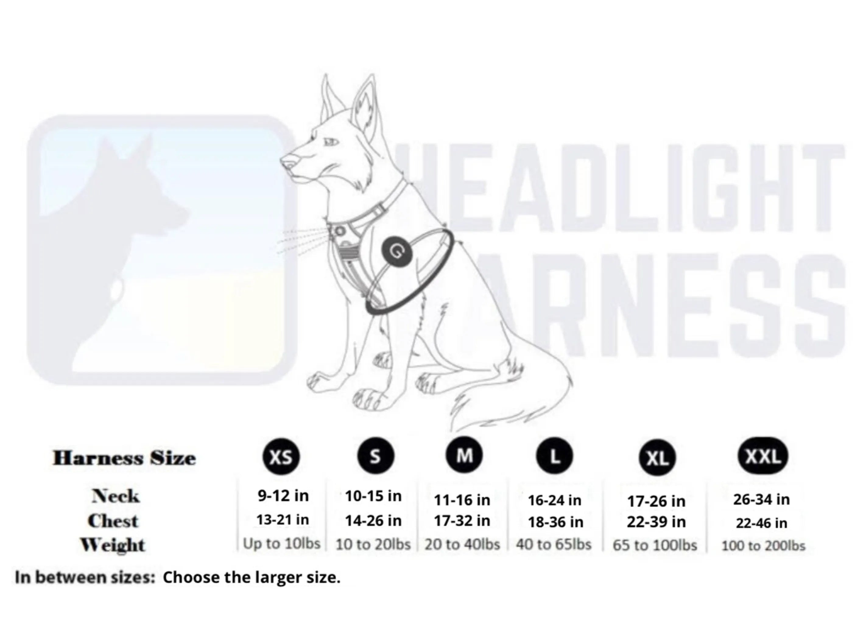 Pet Harness with Built In LED Light (6 Colors Available)