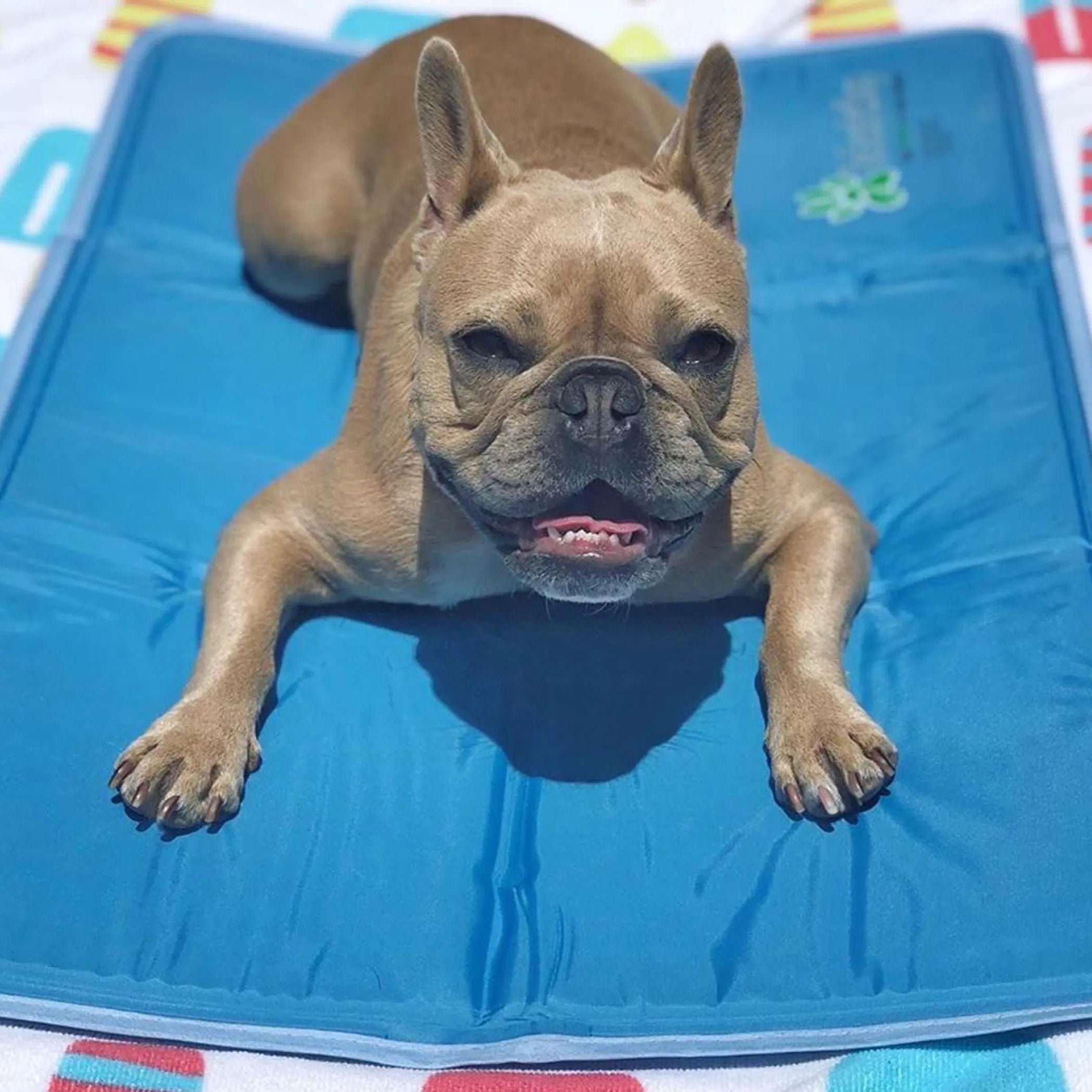 Cooling Pet Pad