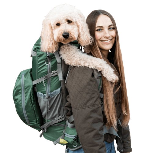Big Dog Carrier & Backpacking Pack (2 Colors Available)