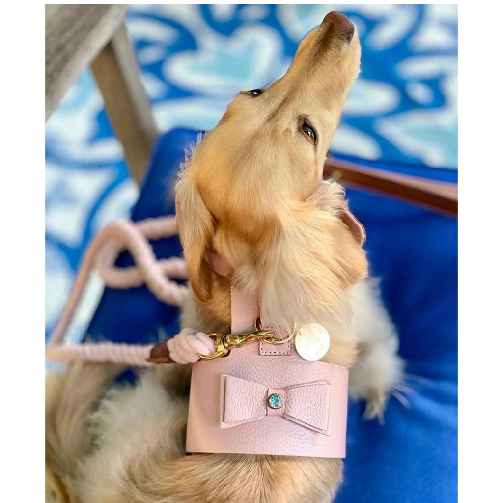 Leather Pet Harness (9 Colors Available)