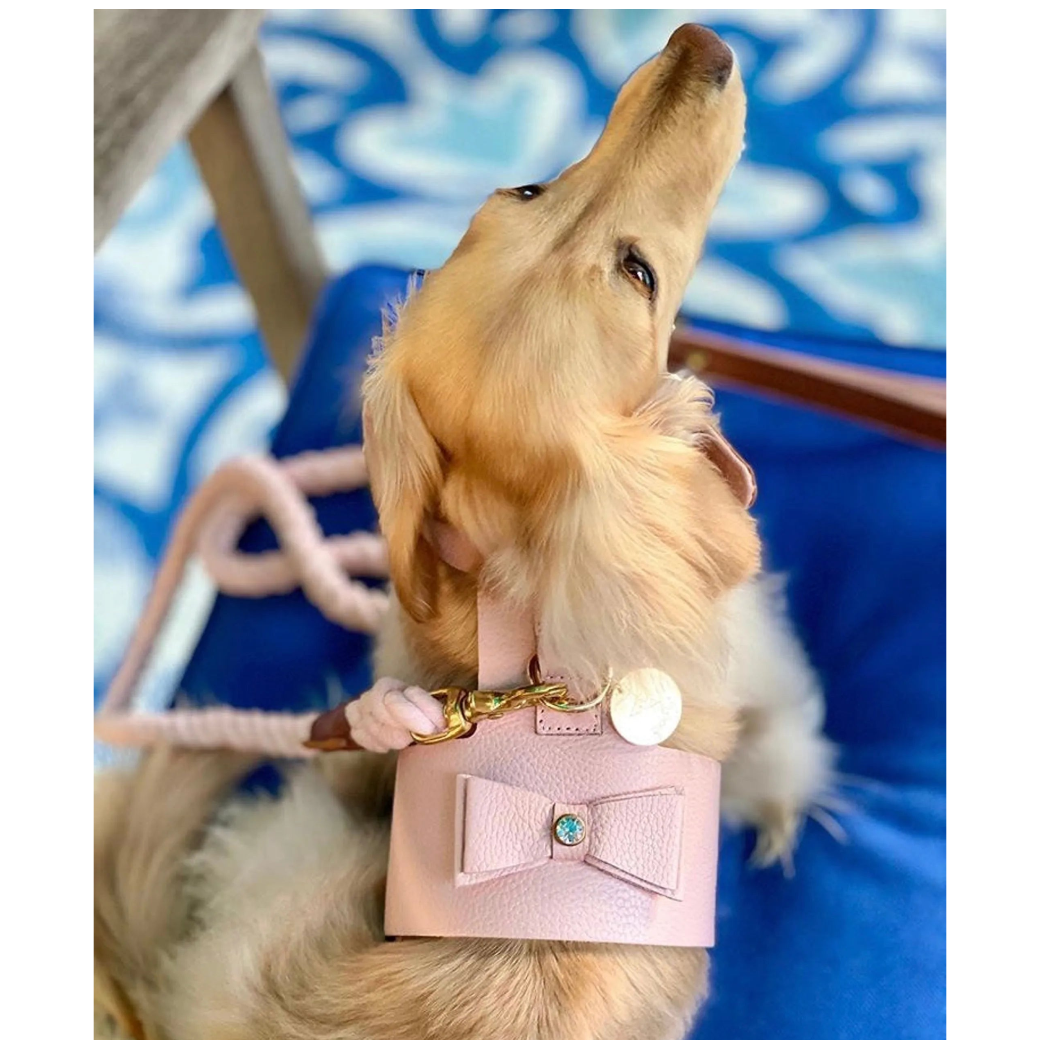 Leather Pet Harness (9 Colors Available)