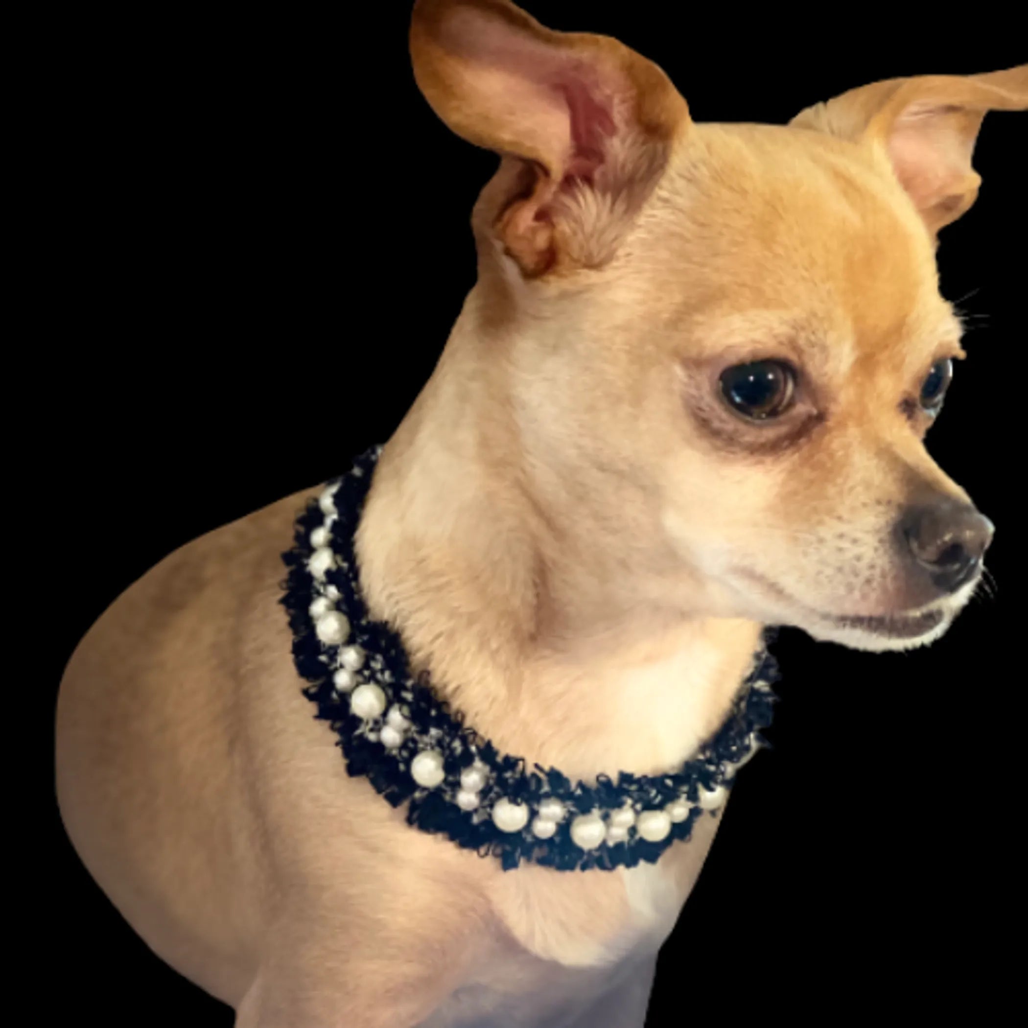 The Luxurious Pearl & Tweed Collar