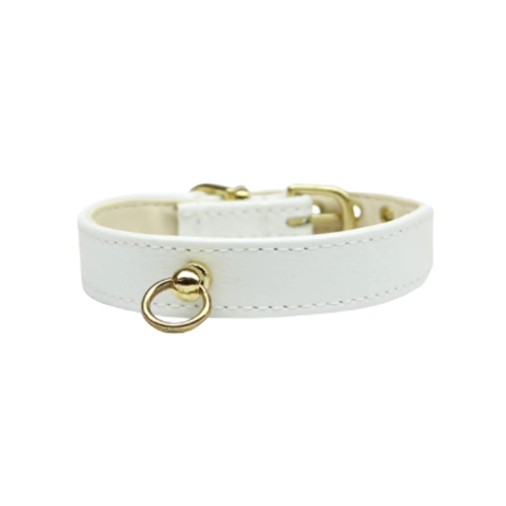 Azure CC Collar (3 Colors Available)