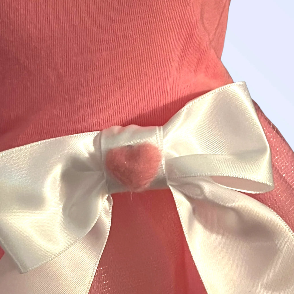 Bee Mine Valentine Pet Dress | Limited Edition