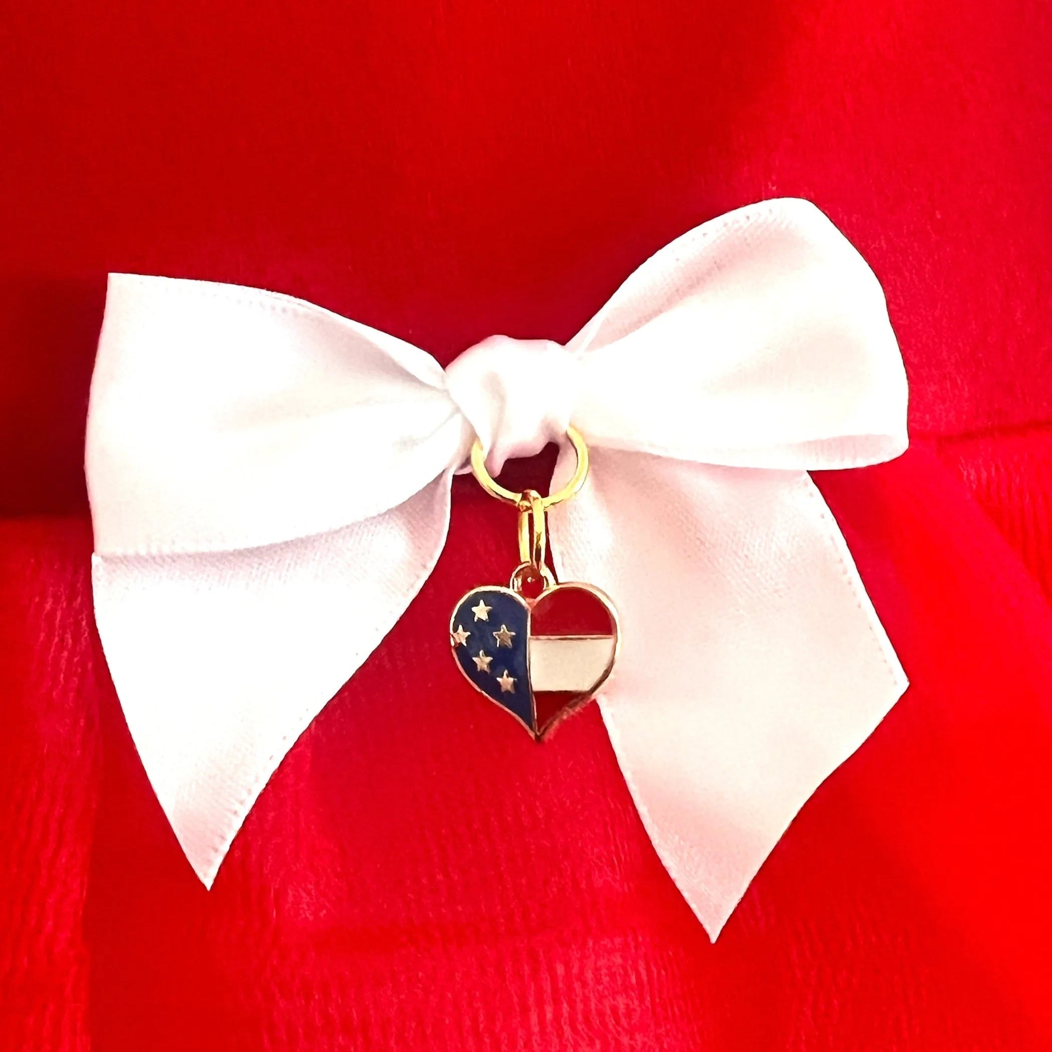 The Patriotic Princess Tutu Dress