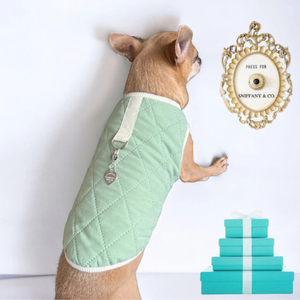 Sniffany & Co. | Quilted Puff Vest-Pet Coat