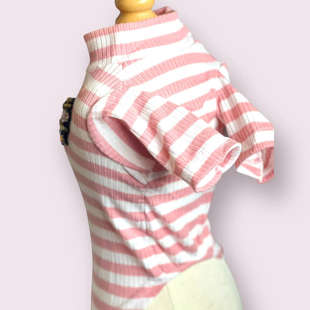Dazzling Bee Stripe Turtleneck – Pet Sweater
