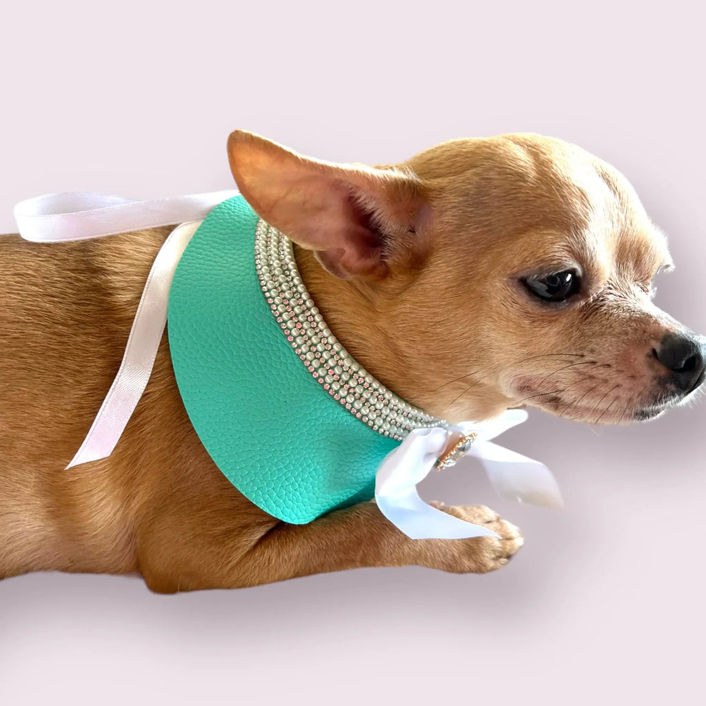 Sniffany & Co. | Blue Neck Collar