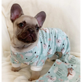 Ultra Soft Plush Minky Bedtime Bears Pajamas