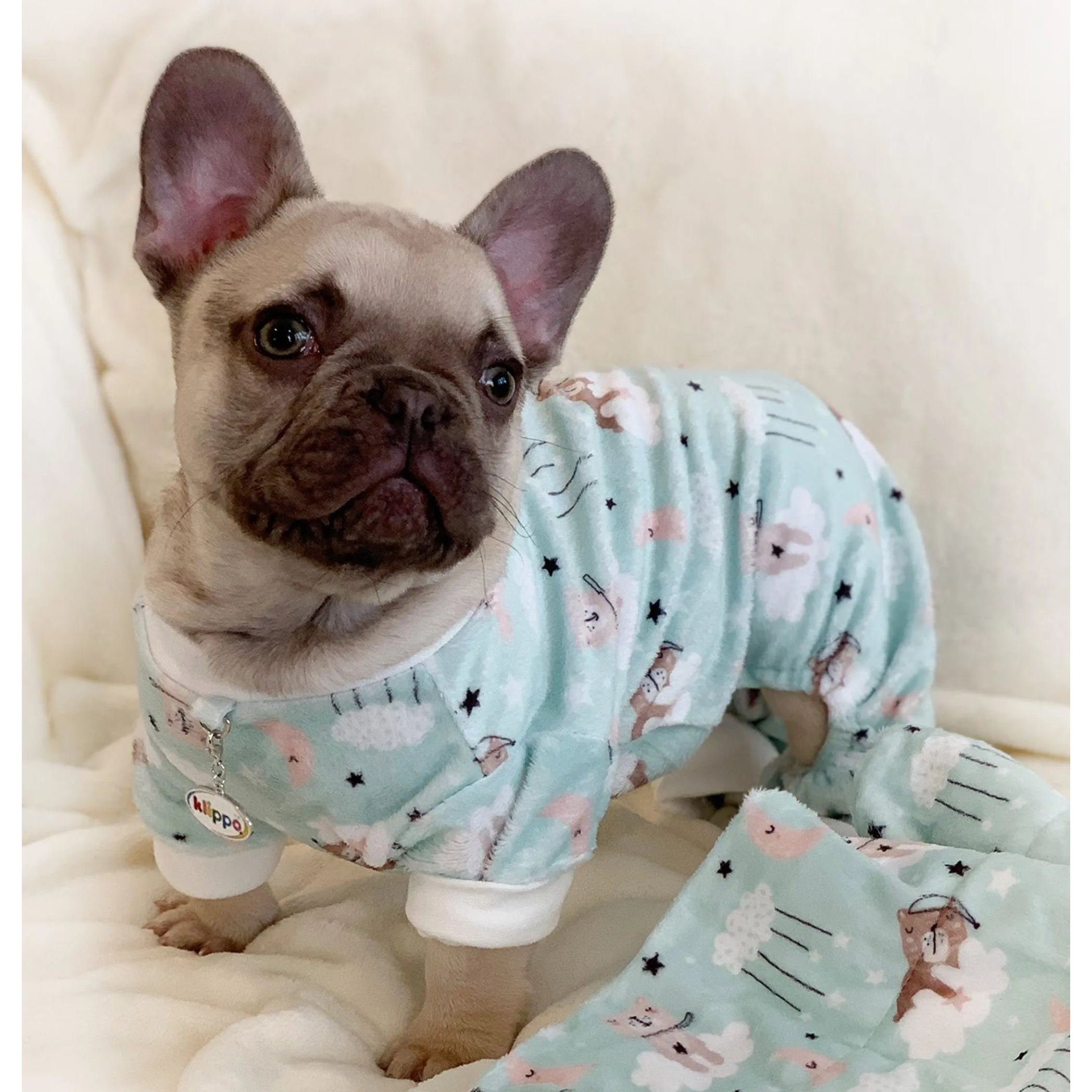 Ultra Soft Plush Minky Bedtime Bears Pajamas