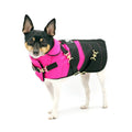 Equestrian Collection | "Fun with Fuschia"