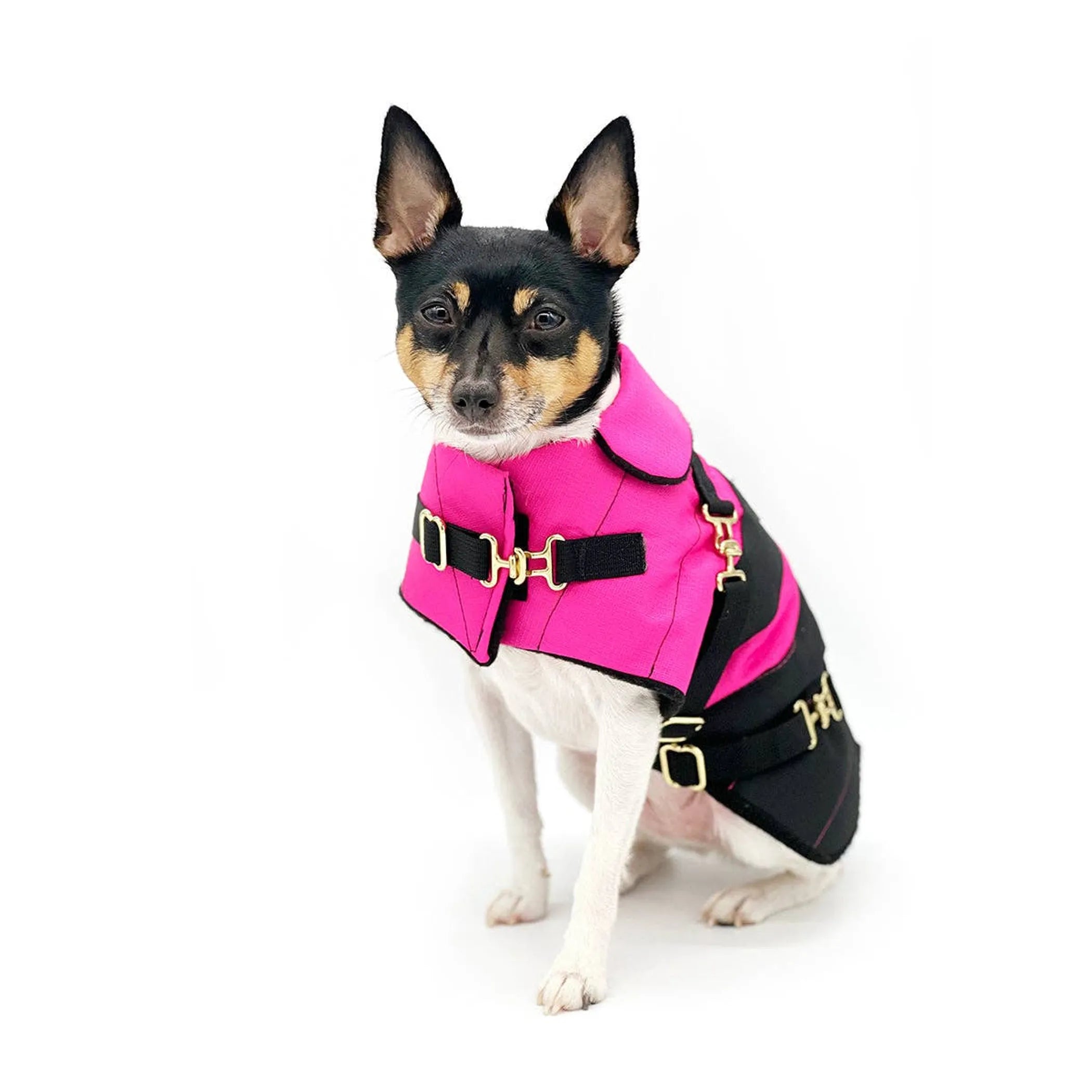 Equestrian Collection | "Fun with Fuschia"