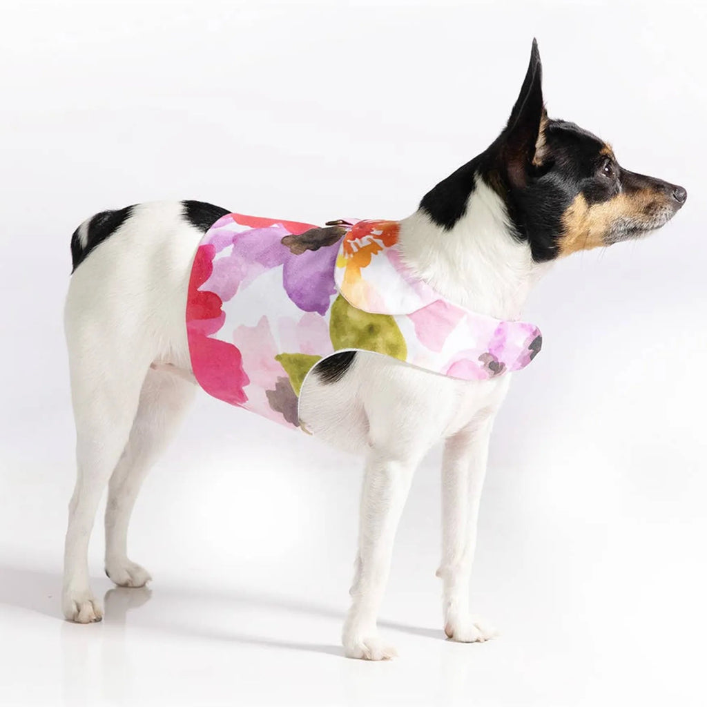 "Fine Art Frolic" Pink Vest-Style Harness