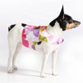 "Fine Art Frolic" Pink Vest-Style Harness