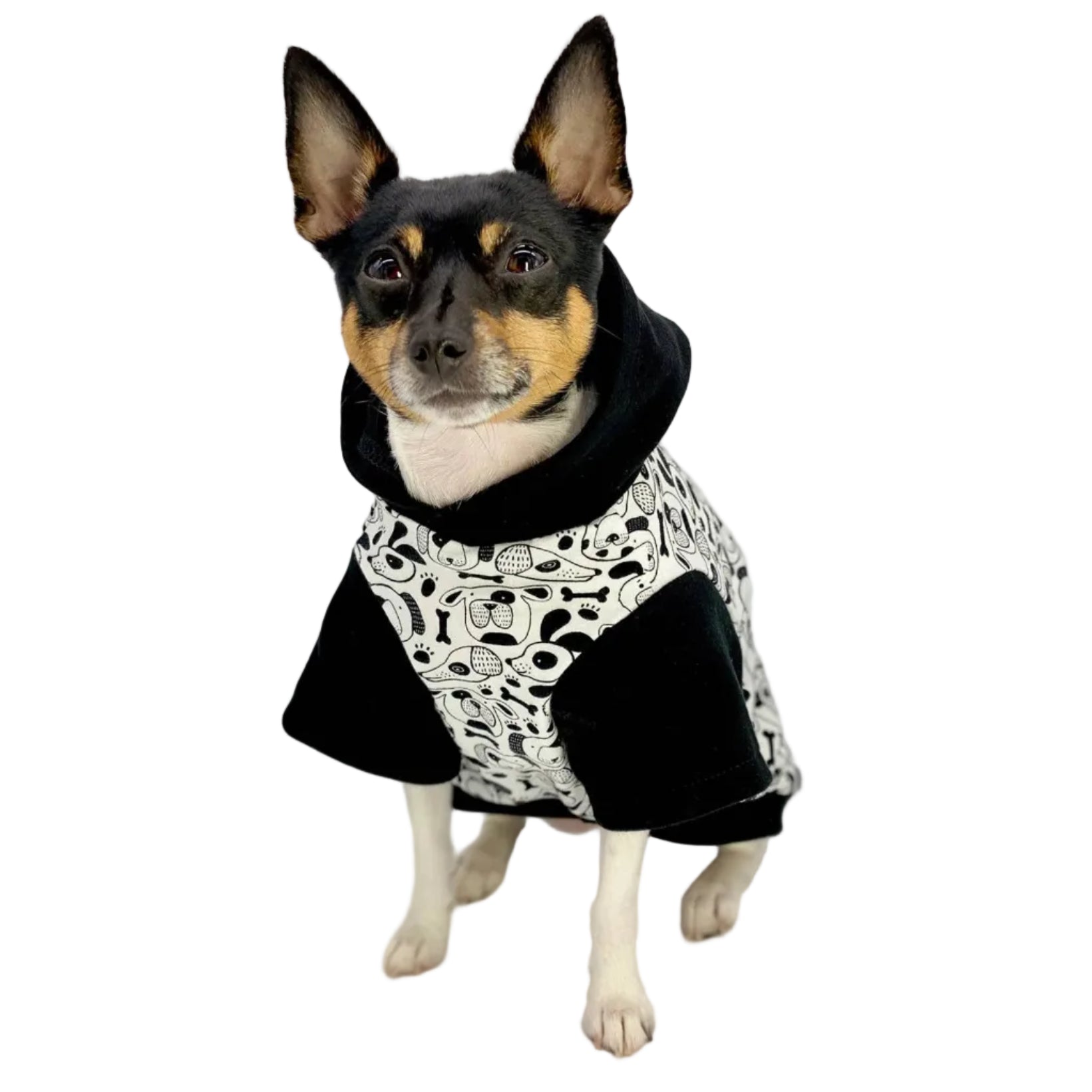 Iconic "Pup Art" Designer Pet Hoodie