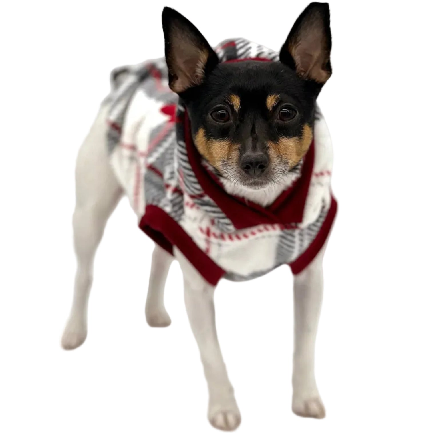 "Snowy Roads" Luxe Fleece Blanket Hoodie in Lodge Plaid
