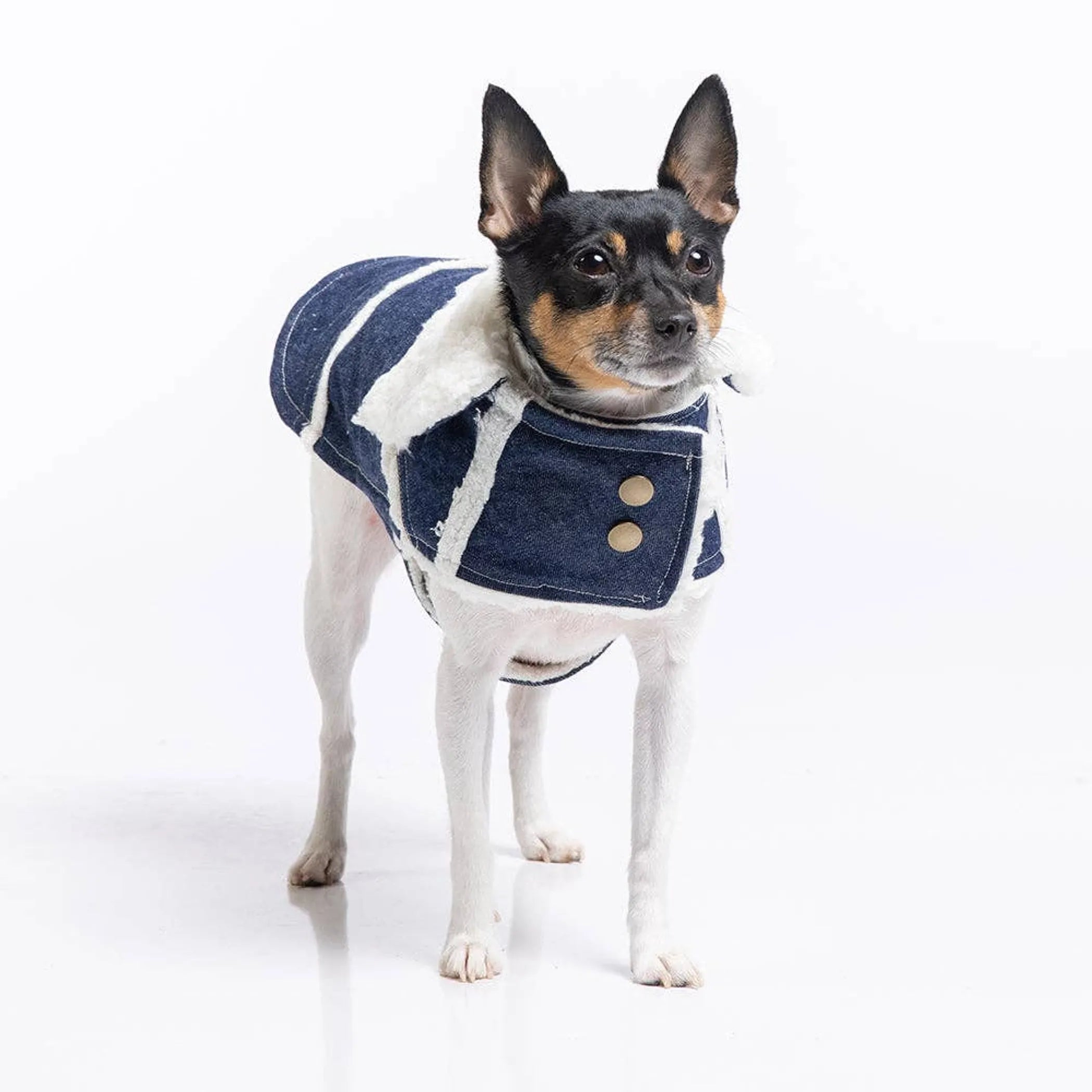 Ranch Coat (3 Colors Available)