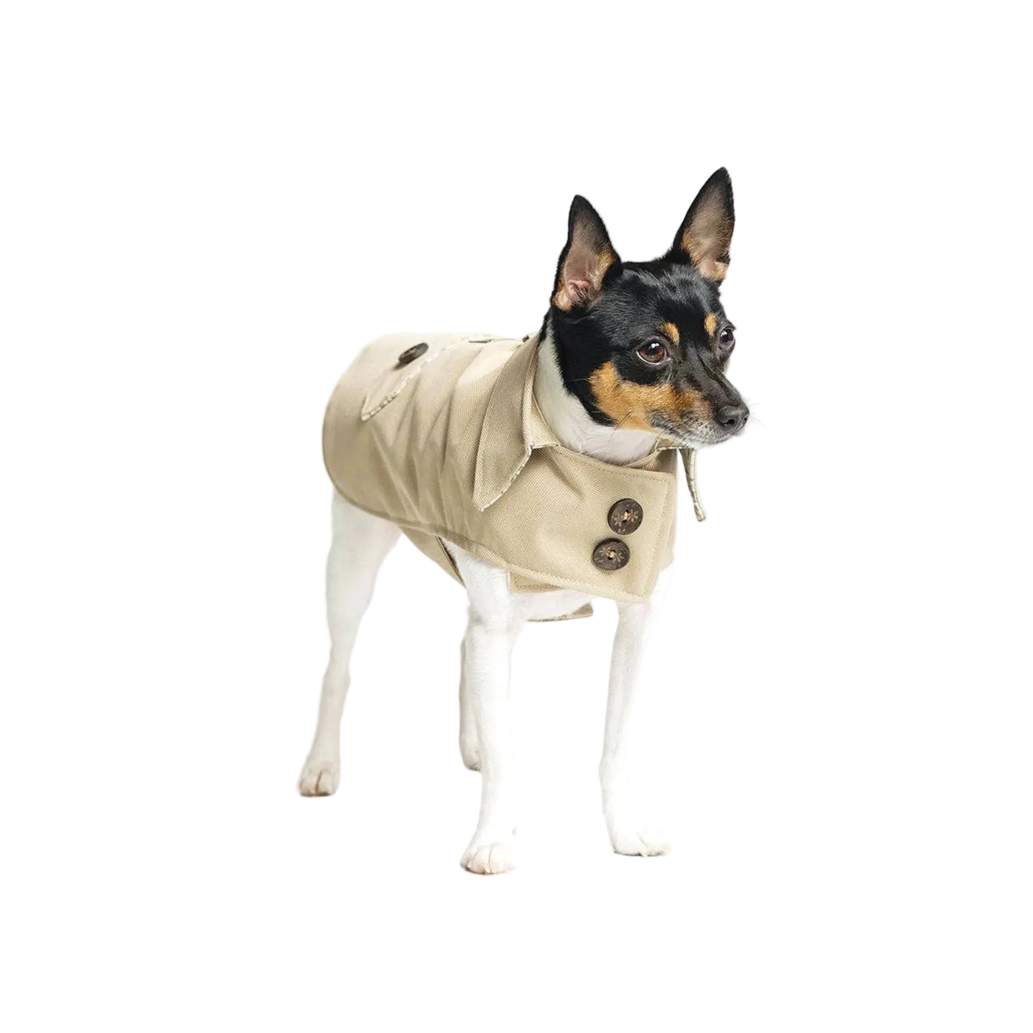 Classic Trench Coat