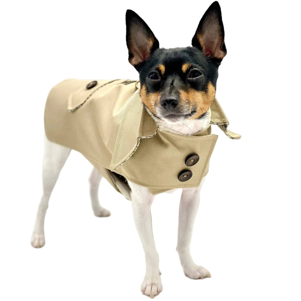 Classic Trench Coat