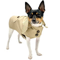 Classic Trench Coat