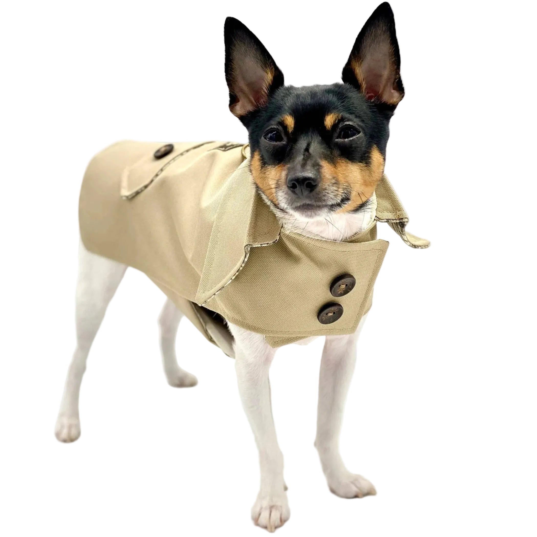 Classic Trench Coat