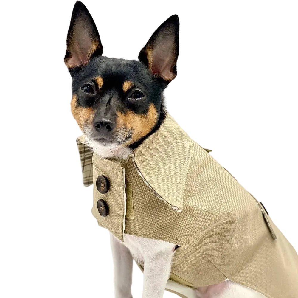 Classic Trench Coat