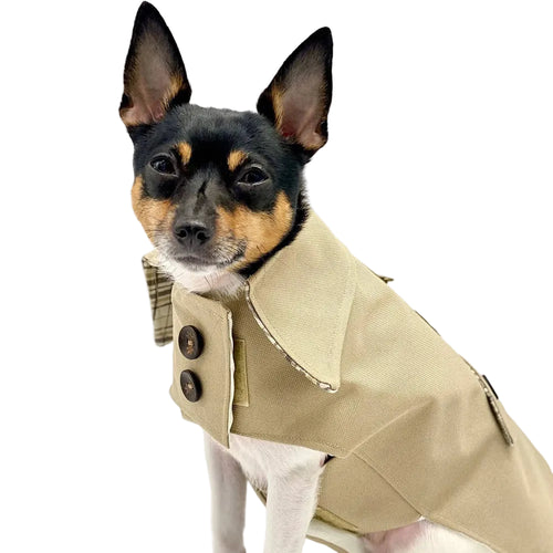 Classic Trench Coat