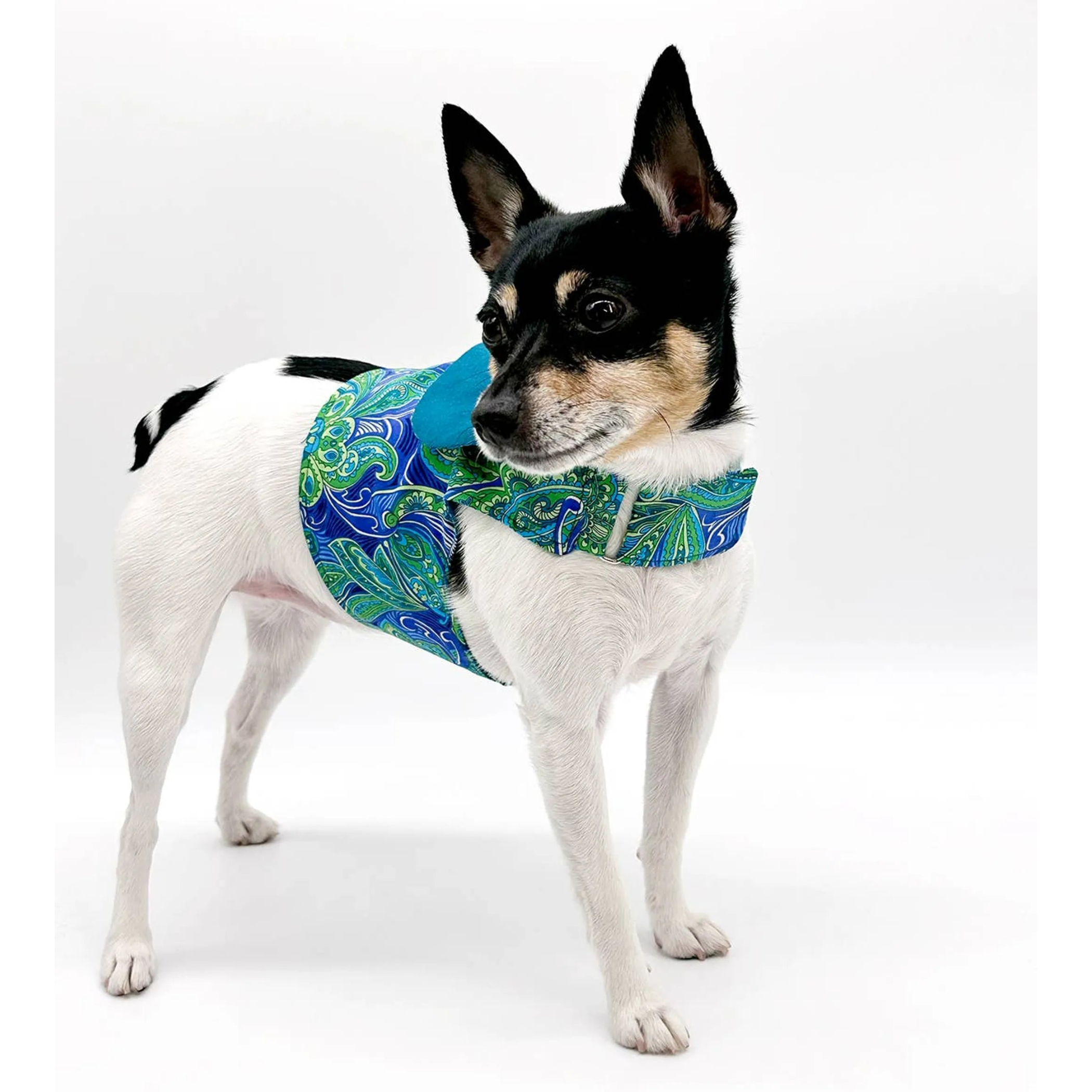 "Pretty in Paisley" Vest-Style Harness