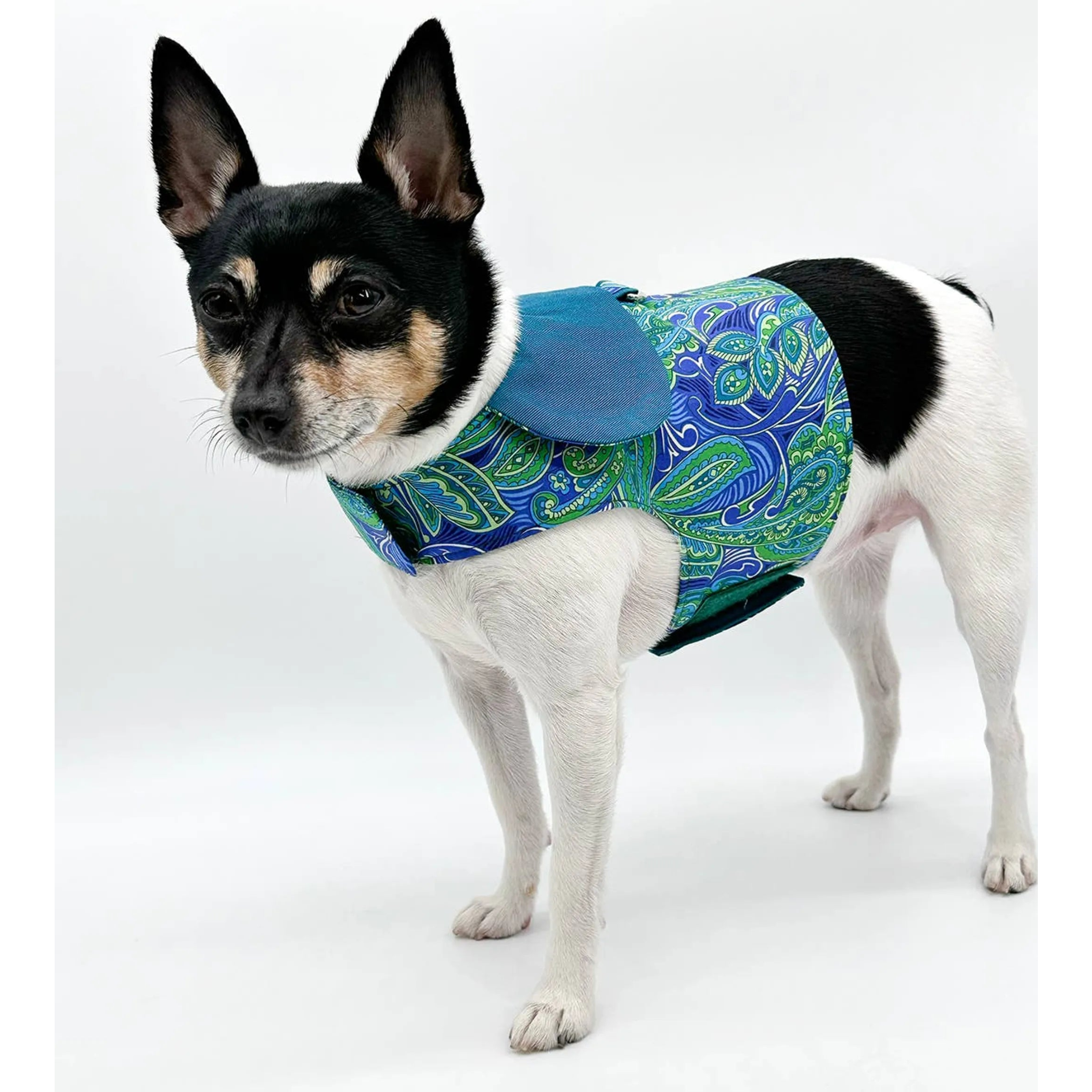 "Pretty in Paisley" Vest-Style Harness