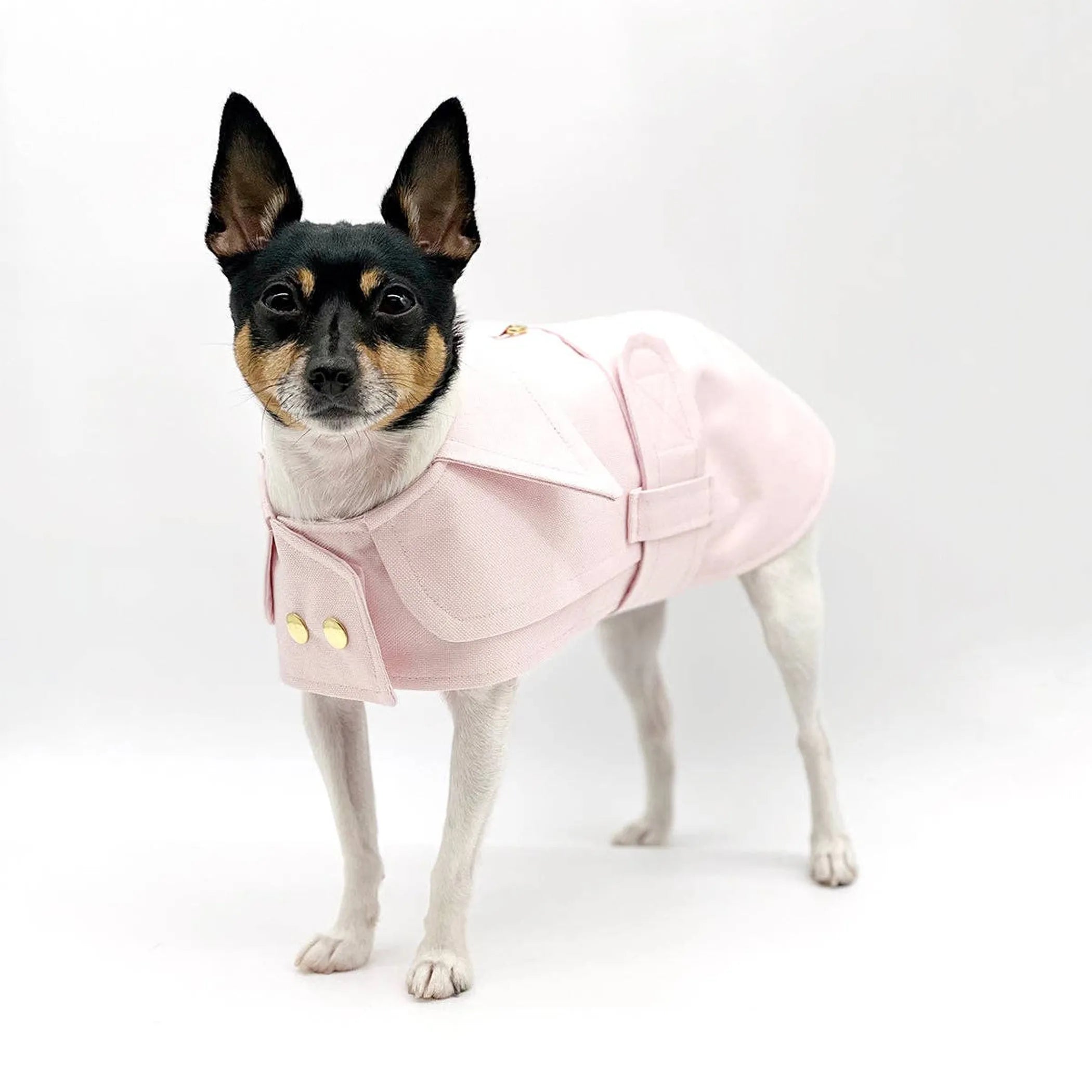 Belted Trench Coat (2 Colors Available)