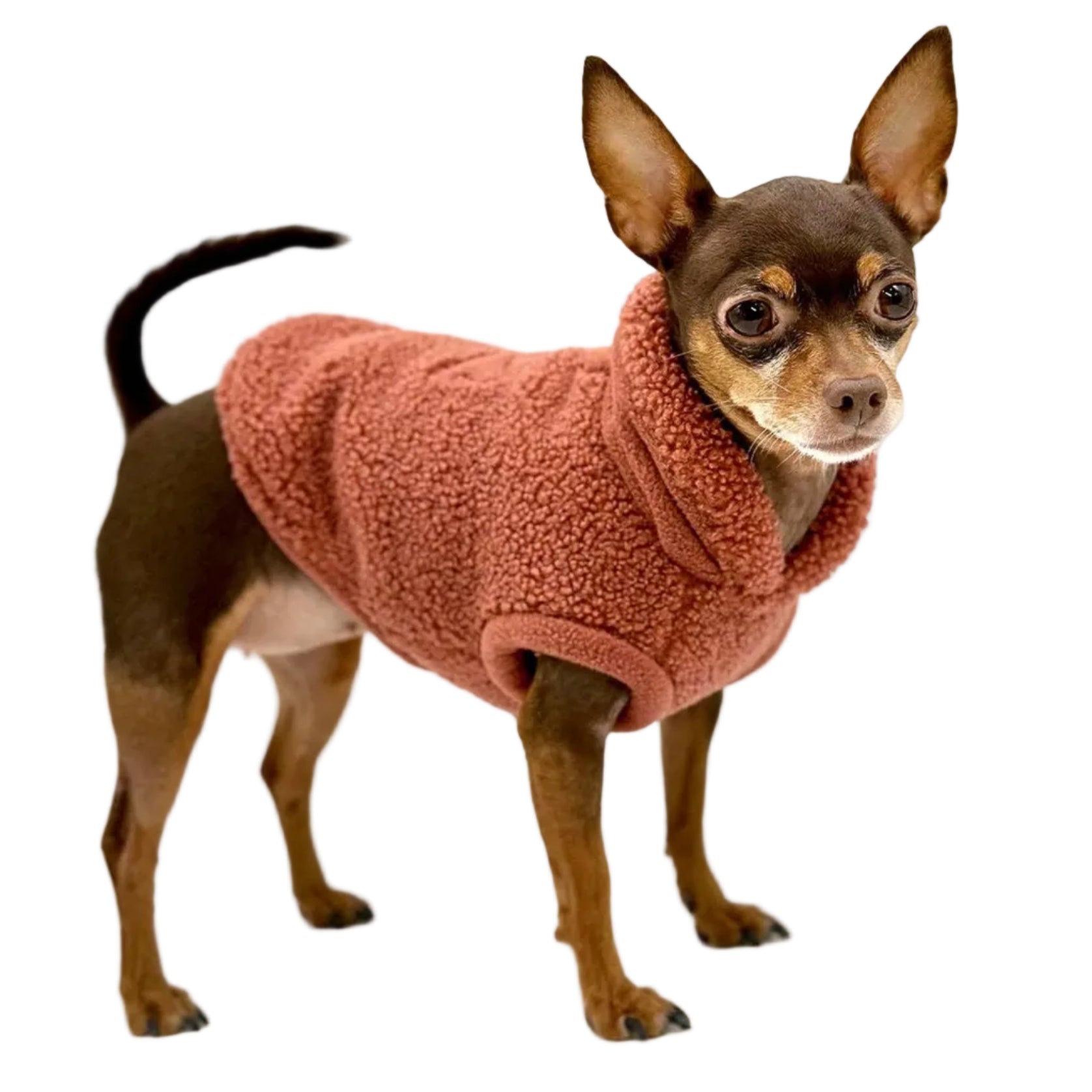Cozy Sherpa Fleece Pullover (5 Colors Available)