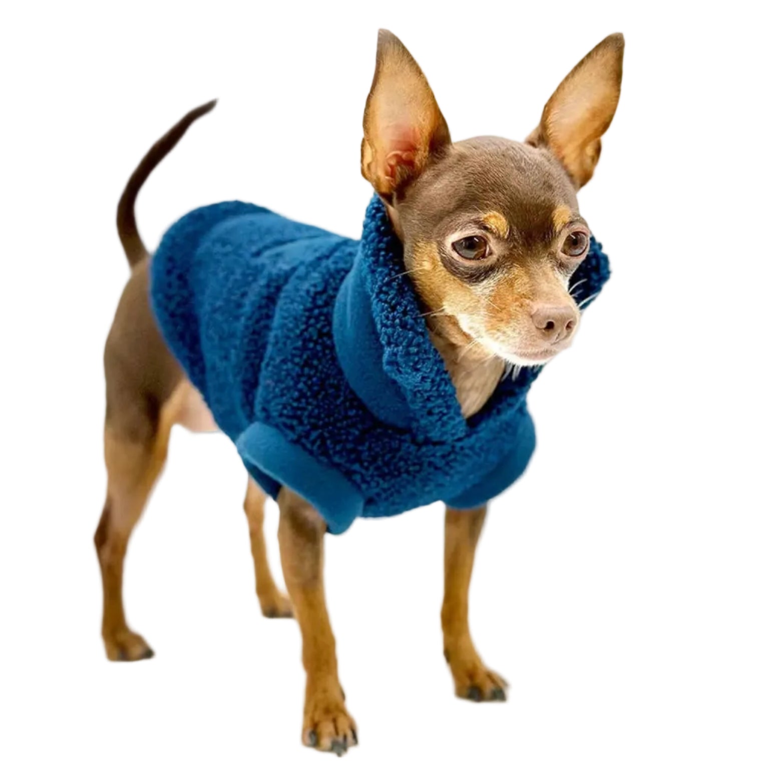 Cozy Sherpa Fleece Pullover (5 Colors Available)