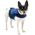 Cute Harness Vest (3 Colors Available)