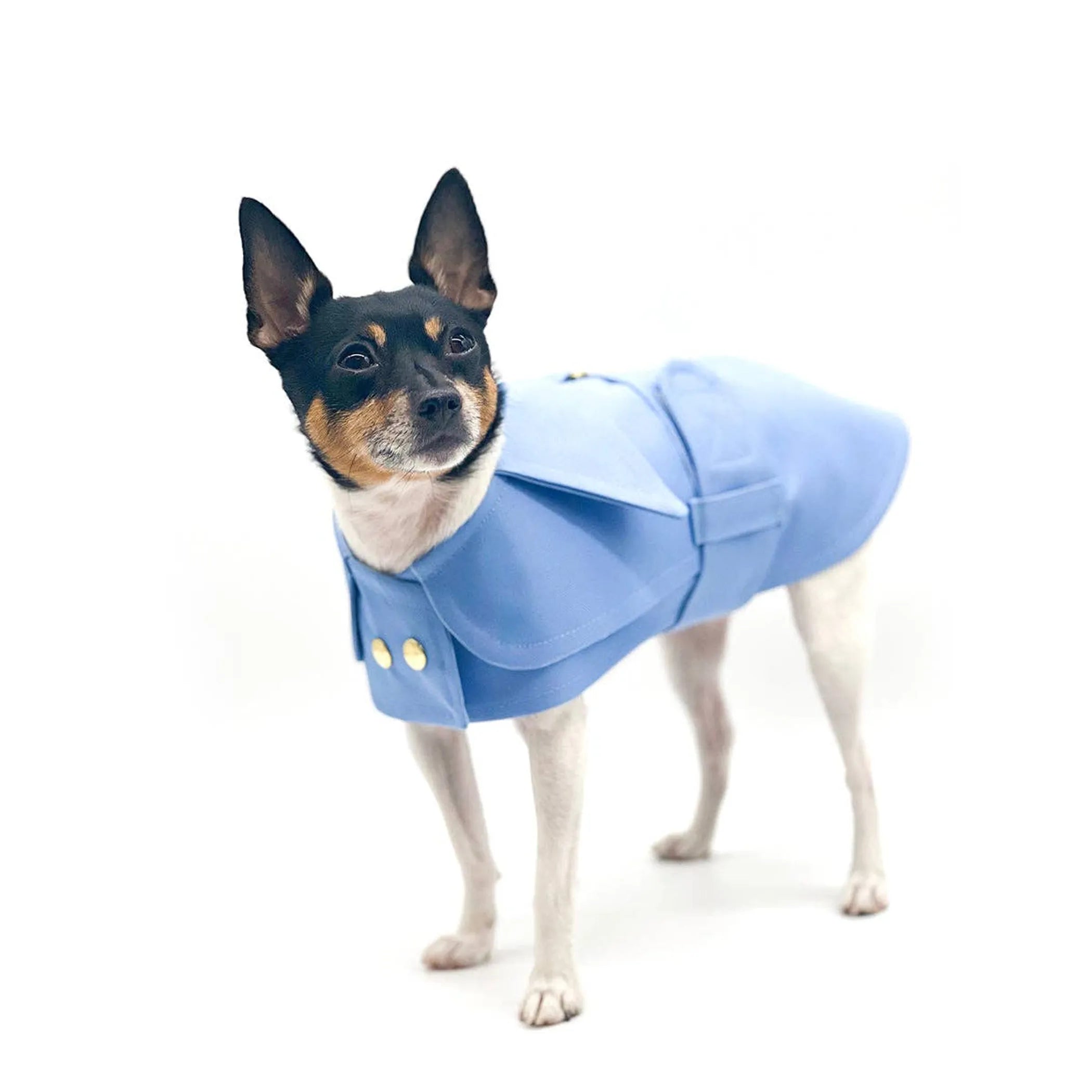 Belted Trench Coat (2 Colors Available)