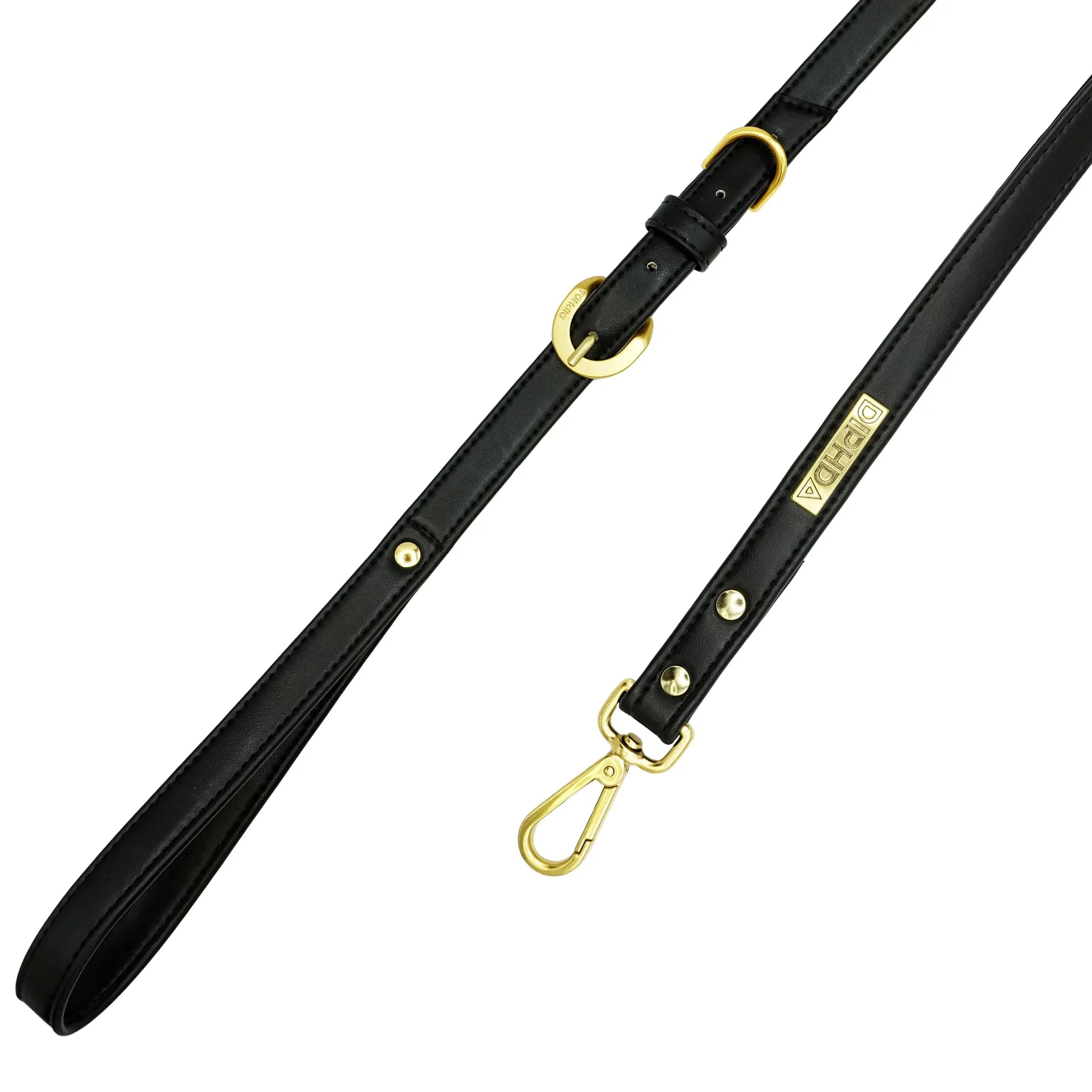 Jet Cactus Leather Leash