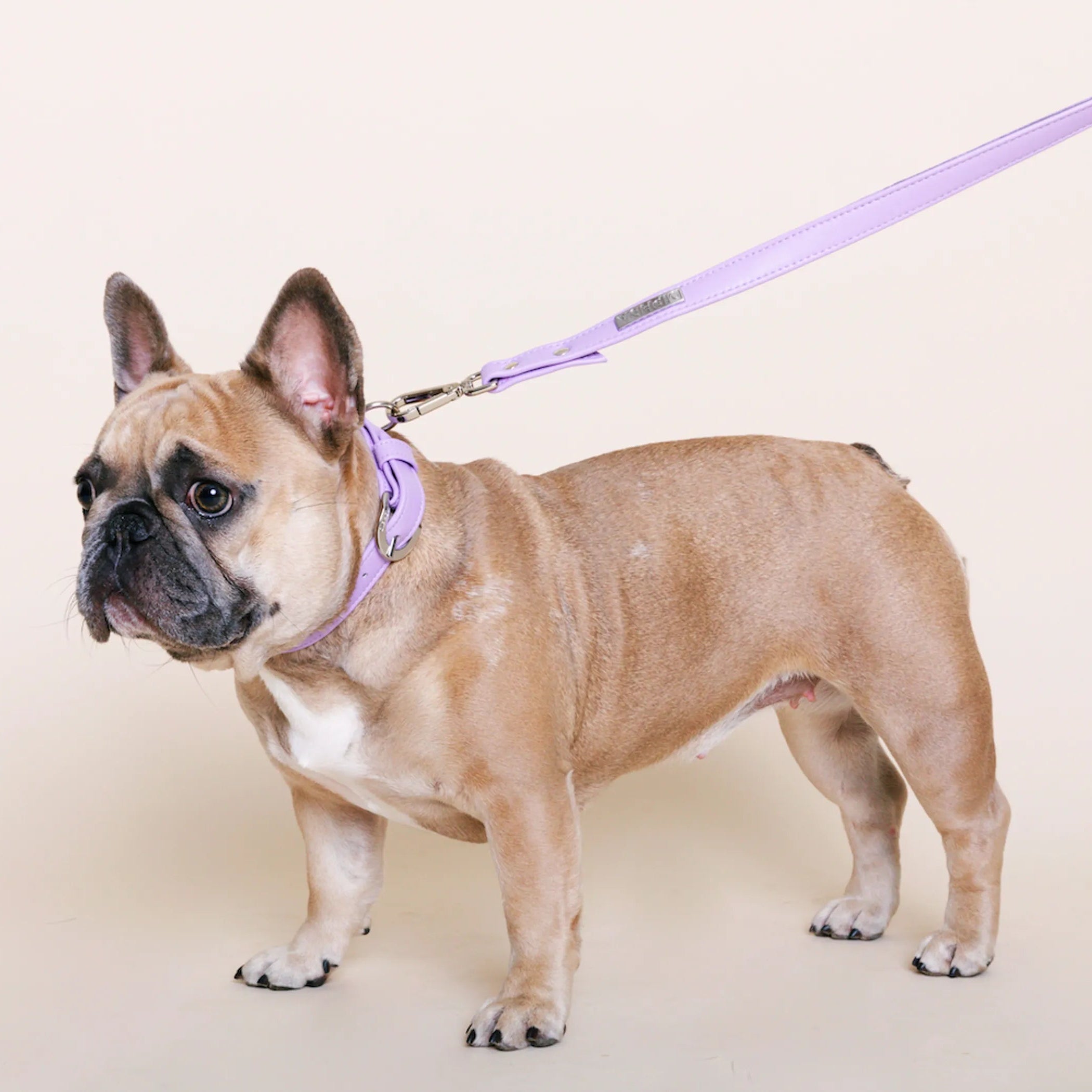 Lavender Cactus Leather Leash