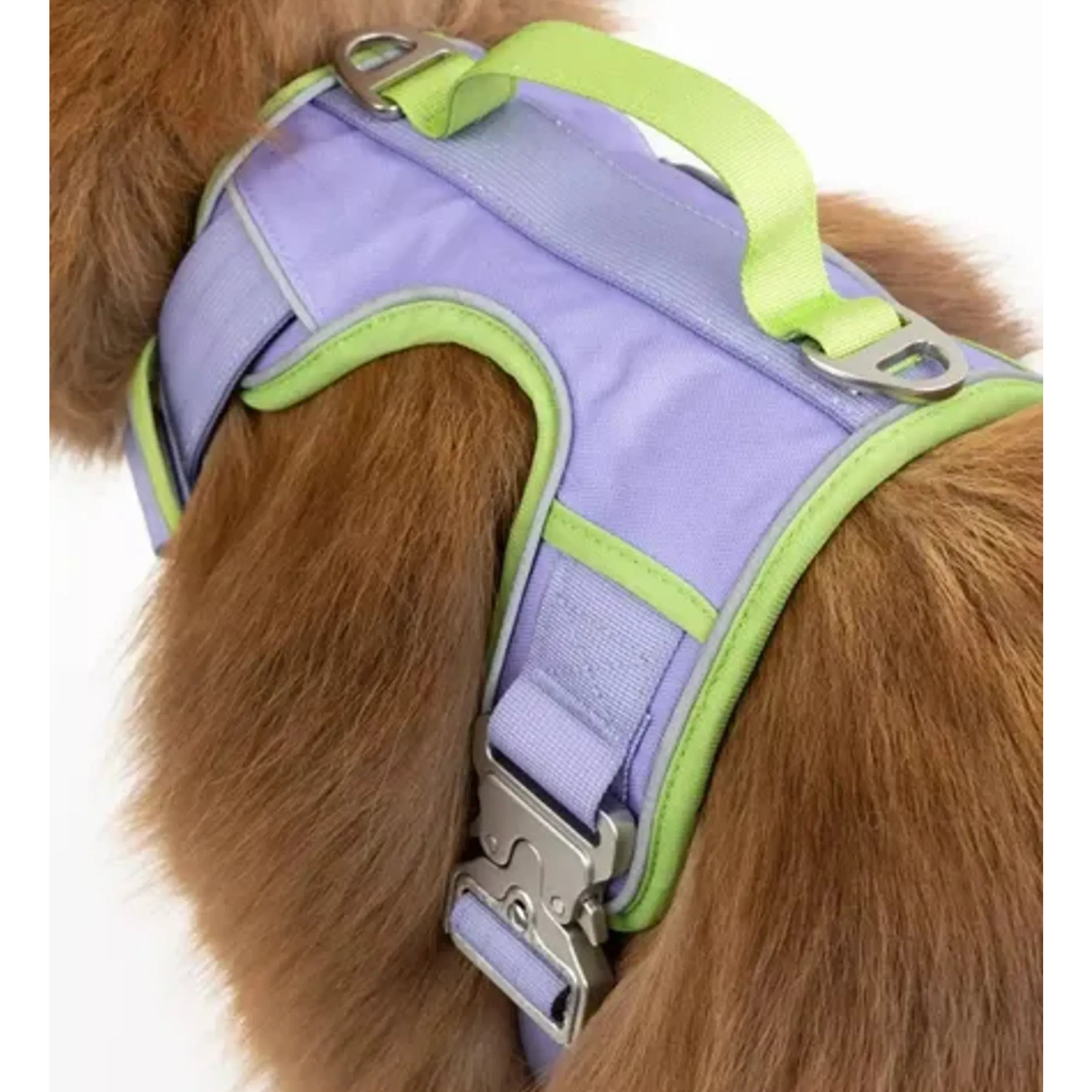 Lavender Garden Ultimate Dog Harness