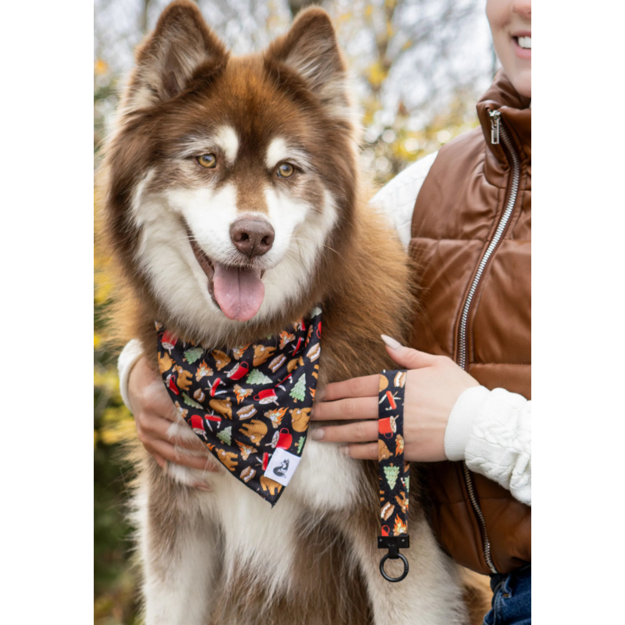 Woodland Tales Dog Bandana & Matching Keychain