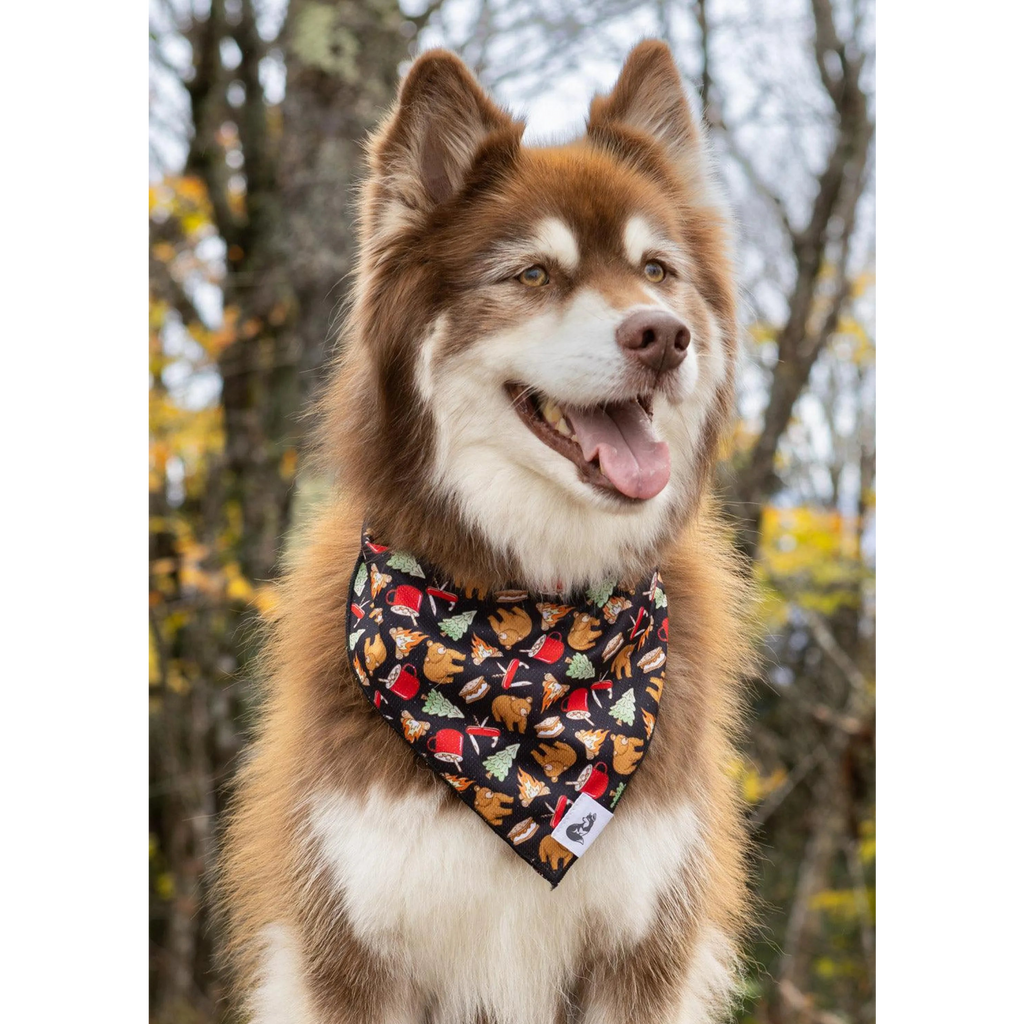 Woodland Tales Dog Bandana & Matching Keychain