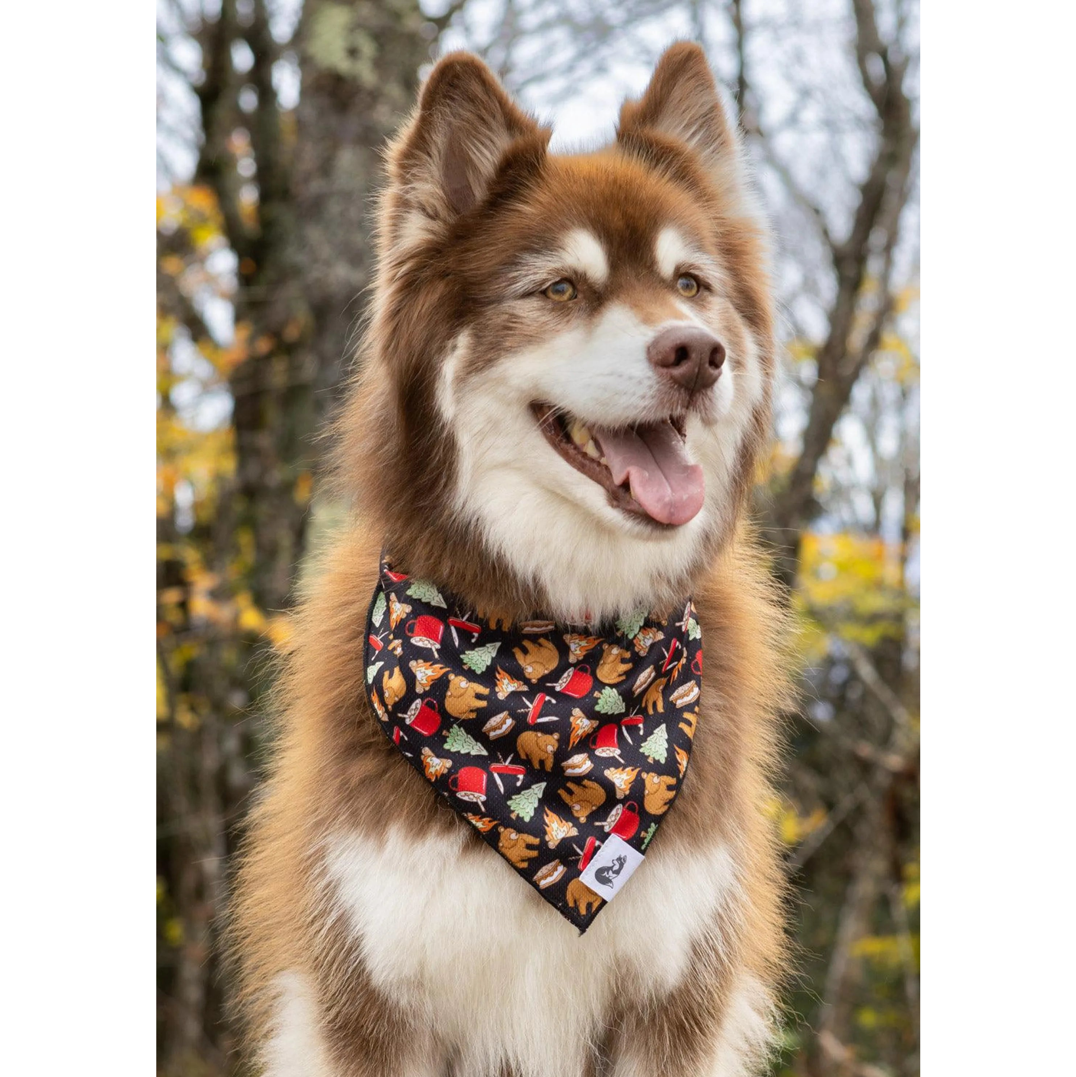 Woodland Tales Dog Bandana & Matching Keychain