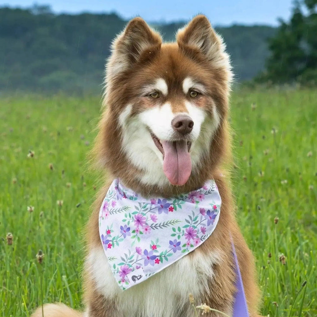 Wildflower Meadow Dog Bandana & Matching Keychain