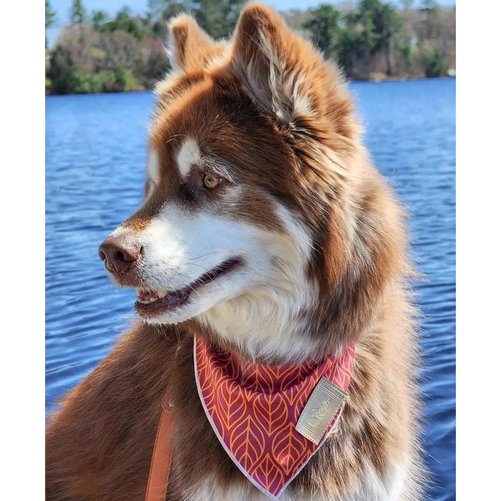 Twilight Trails Bandana & Matching Keychain