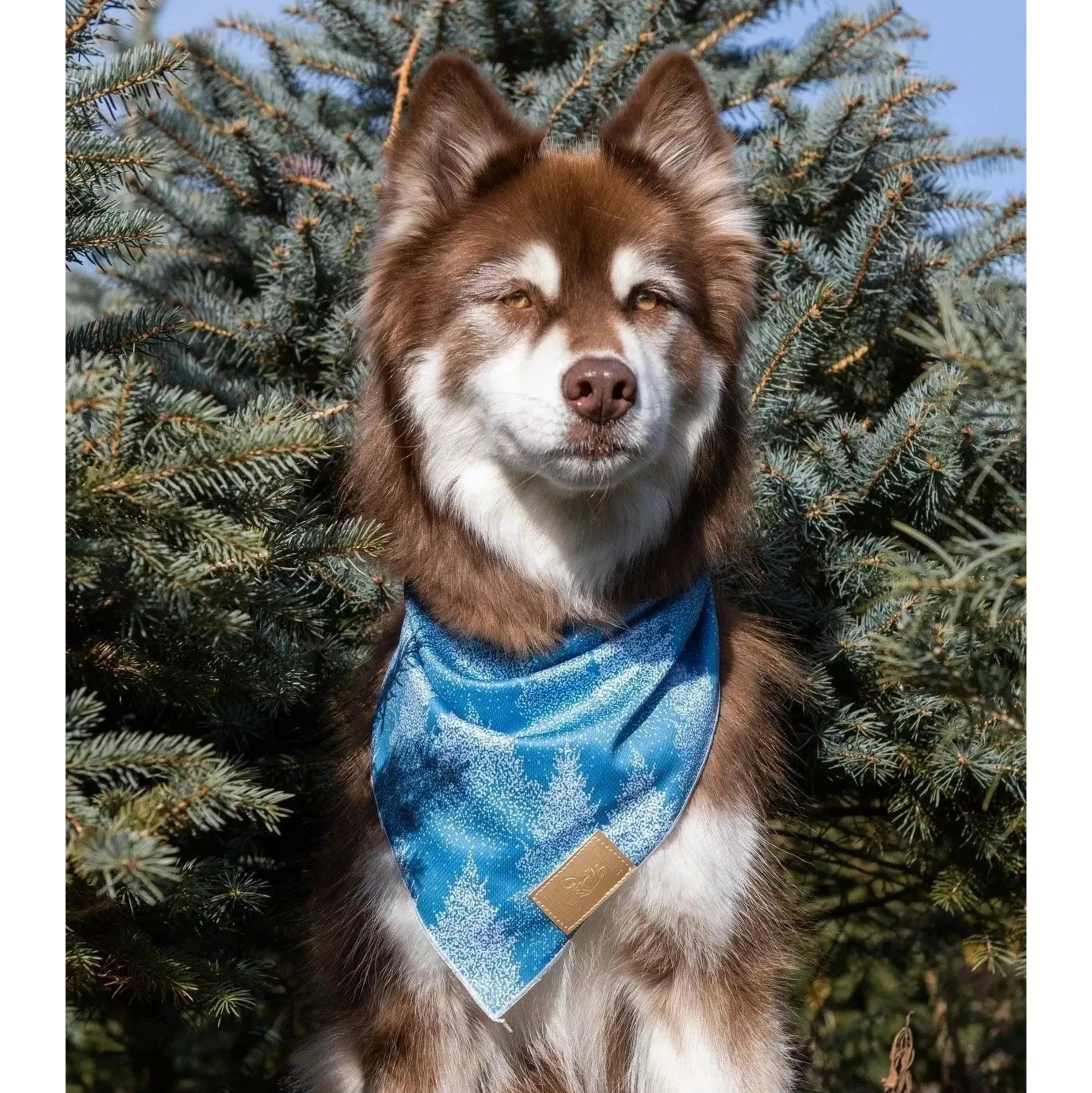 Siberian Spruce Dog Bandana & Matching Keychain