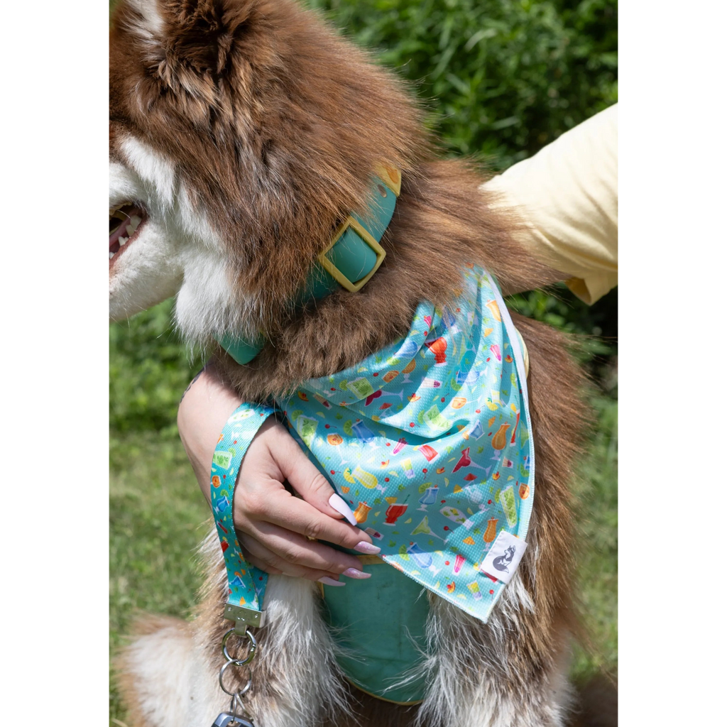Seaside Sips Dog Bandana & Matching Keychain