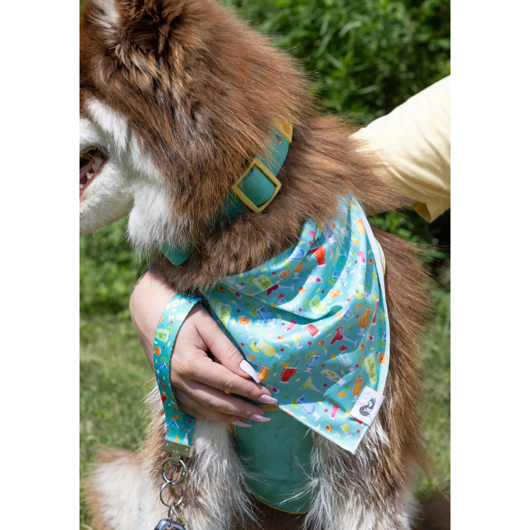 Seaside Sips Dog Bandana & Matching Keychain