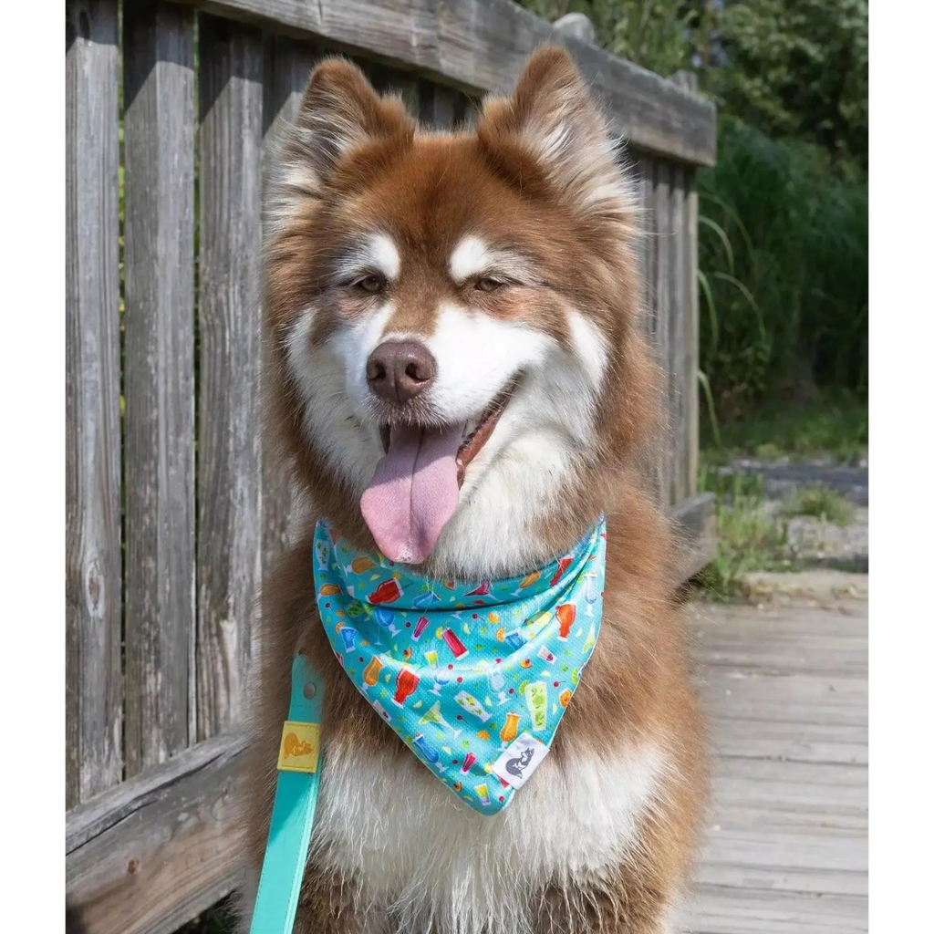 Seaside Sips Dog Bandana & Matching Keychain